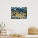 Suche nach olivenbaum poster Vincent van gogh