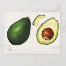 Suche nach avocado postkarten Guacamole