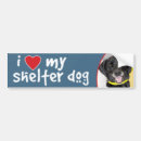 Suche nach schwarzes labrador autoaufkleber Hundeliebhaber