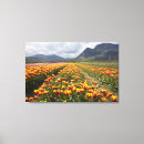 Suche nach kolumbien waren leinwandbilder Nordamerika