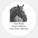 Suche nach reitsport aufkleber Reiten
