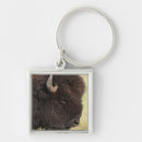 Suche nach amerikanischer bison schlüsselanhänger Tier