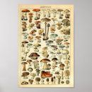 Suche nach pädagogisches poster Für alle