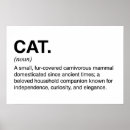 Suche nach schwarz weiße katze poster Schwarz und weiß