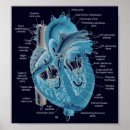 Suche nach educational poster Science