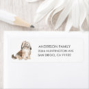 Suche nach havaneser Havanisch