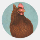 Suche nach henne aufkleber Huhn