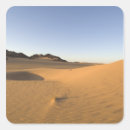 Suche nach sahara aufkleber Sergio pitamitz