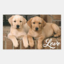 Suche nach labrador welpe aufkleber Liebe