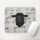 Suche nach schwarze schafe mousepads Schwarzes schaf