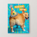 Suche nach corgi hintern accessoires Lustiges tier