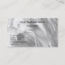 Suche nach yorkshire terrier visitenkarten Welpe