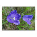 Suche nach glockenblume postkarten Blau