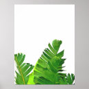 Suche nach grüne palmen poster Tropisch