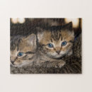 Suche nach bäcker puzzle Süß