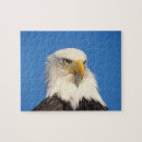Suche nach patriotischer adler puzzle Tierwelt