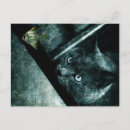 Suche nach lustige jagd andere postkarten Katze