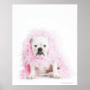 Suche nach weiße feder poster Rosa