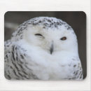 Suche nach japaner mousepads Tier