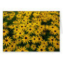Suche nach rudbeckia hirta Schwarz mit augen sushans