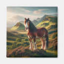 Suche nach hochland magnete Schottisch