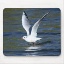 Suche nach möven mousepads Vögel