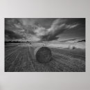 Suche nach gerste poster Landwirtschaft