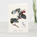 Suche nach himbeere karten Obst