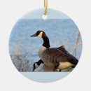 Suche nach gans ornamente Für alle