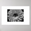 Suche nach blumenblätter poster Blüte