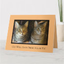 Suche nach afrikanisches grau karten Afrikanischer grauer papagei