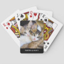 Suche nach der katze spielkarten Modern