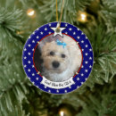 Suche nach usa ornamente Weihnachten