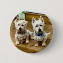 Suche nach spitze und buttons Hunde