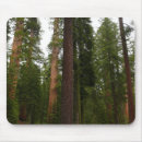 Suche nach haines mousepads Natur