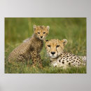 Suche nach sprinten poster Natur