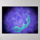 Suche nach biochemie poster Detail