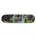 Suche nach waschbär skaten Tier