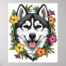 Suche nach schlittenhund poster Huskies