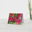 Suche nach bouganvilla Blumen
