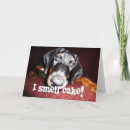 Suche nach dobermann pinscher karten Niedlich