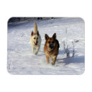 Suche nach pam karten Schnee