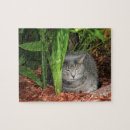 Suche nach schlafender puzzle Rätsel