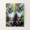 Suche nach siamese cat puzzle Haustier