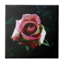 Suche nach rote rose fliesen Blumenreich