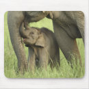 Suche nach inder mousepads Indien