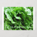 Suche nach kopfsalat postkarten Nahrung