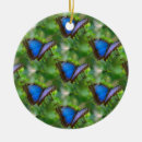 Suche nach schmetterling ornamente Lustig