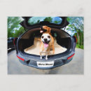 Suche nach niedlicher chihuahua einladungen Haustier