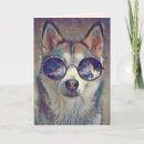 Suche nach hund mit brille karten Kaninchen